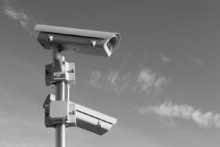 泰州这个地方新增一批违停严管路段,12月20日起实行