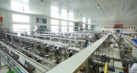 出海淘金频频“得手”,生产线达欧盟标准,这家安徽企业实力过人!