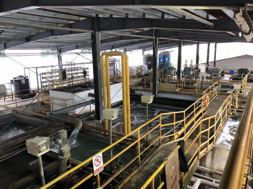 惠东县人民政府门户网站